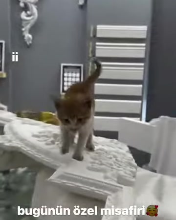Kabartmalı motifler, profilli kenarlar ve kavisli dekoratif parçalar sergileniyor