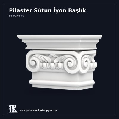P5020I50 Pilaster Sütun İyon Başlık